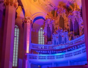 Hildebrandt-Orgel, Foto: Falko Matte